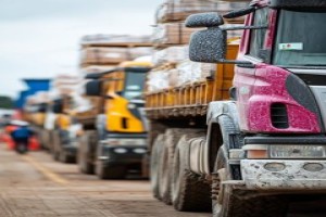 Asphalt Paver