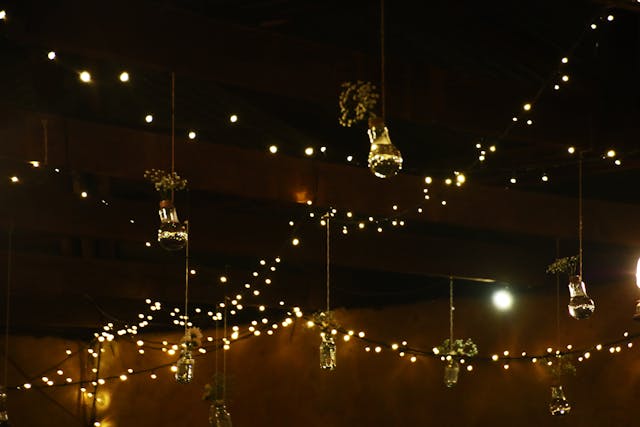 Bistro String Lights (100ft)