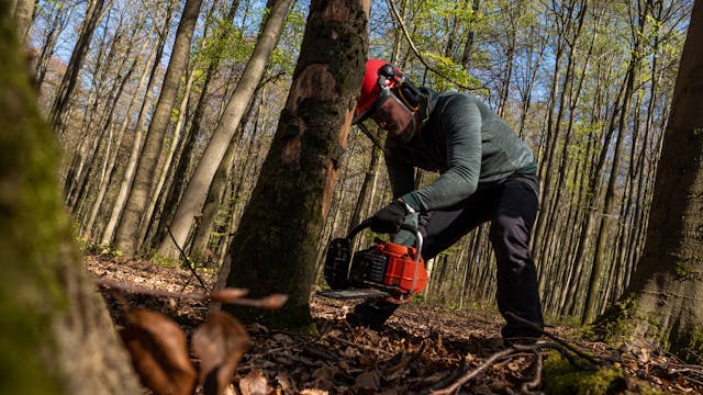 20" Professional Chainsaw