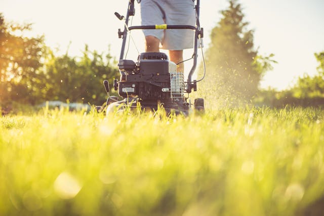 Core Aerator (Walk-Behind)