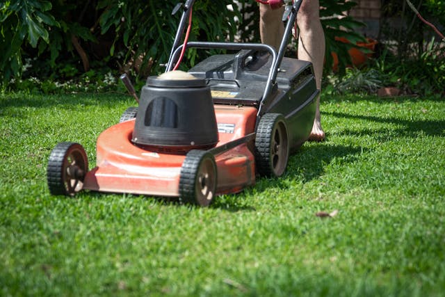 Gas Hedge Trimmer 30"