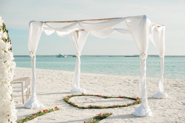 10x10 Pop-Up Canopy