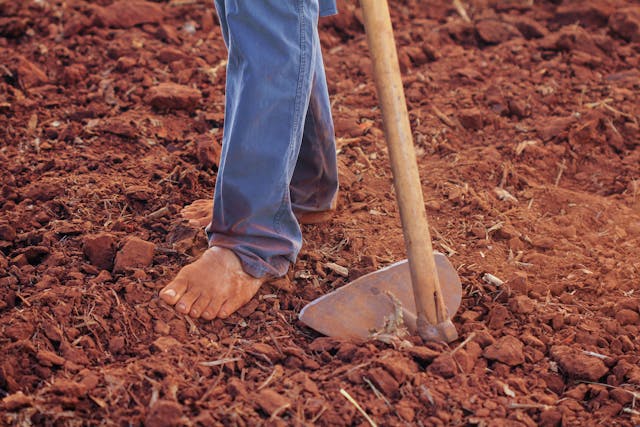 Rear-Tine Rototiller