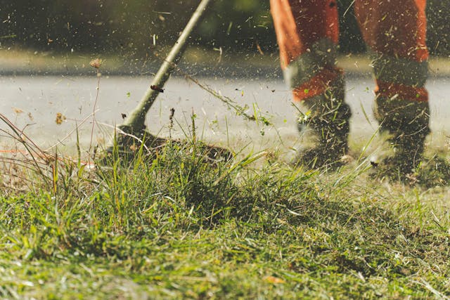 Sod Cutter (Walk-Behind)