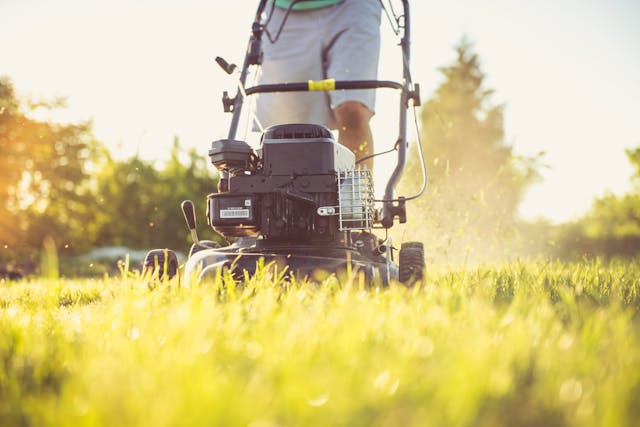 Commercial String Trimmer